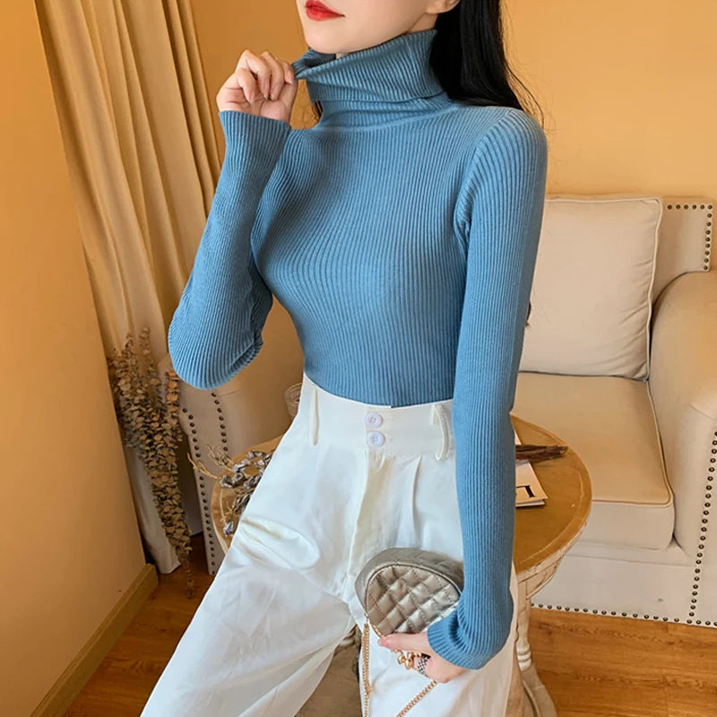Ribbed Foldover Turtleneck Sweater