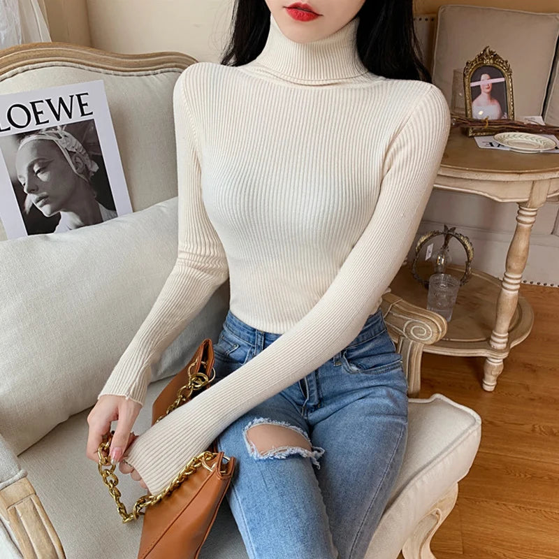 Ribbed Foldover Turtleneck Sweater
